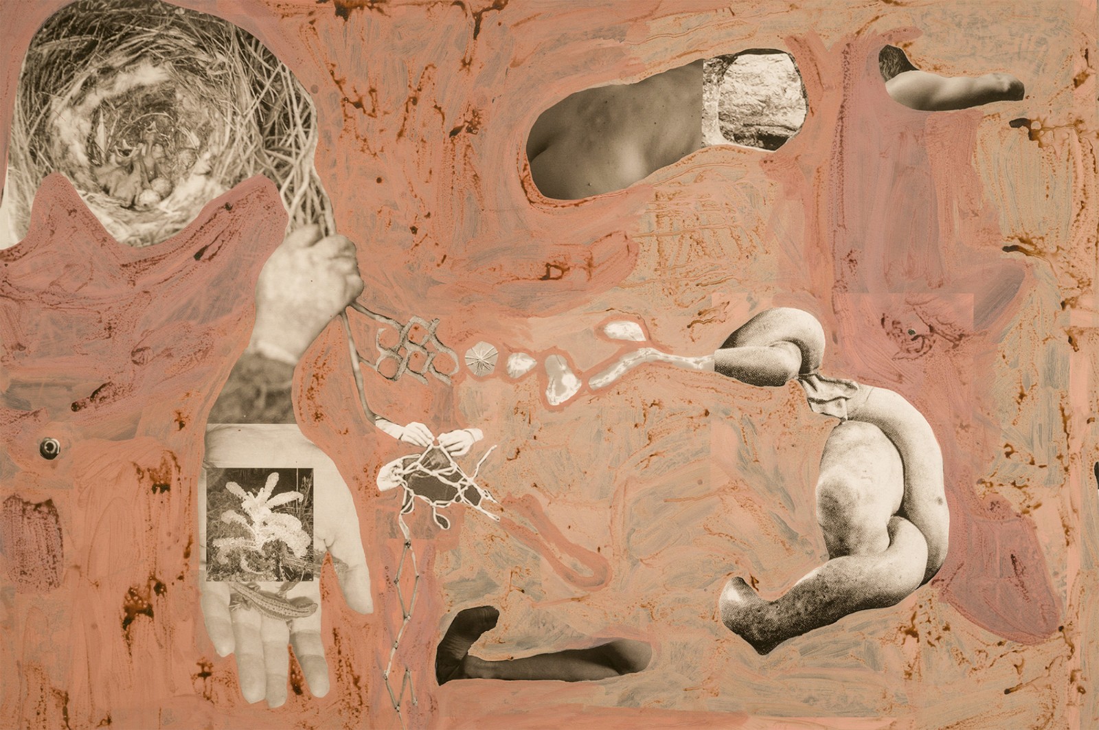 圖十二、《地勢 (關(guān)于時(shí)間，關(guān)于身體)》 (細(xì)節(jié)圖)，O?zlem Alt?n，2019